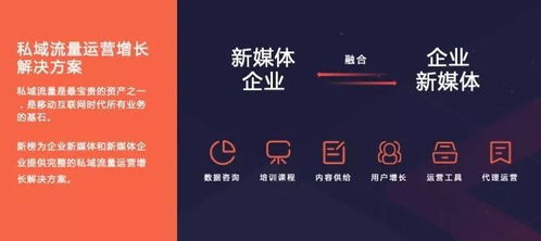 新榜2019內容創業年度報告 洞見行業趨勢，賦能商業增長